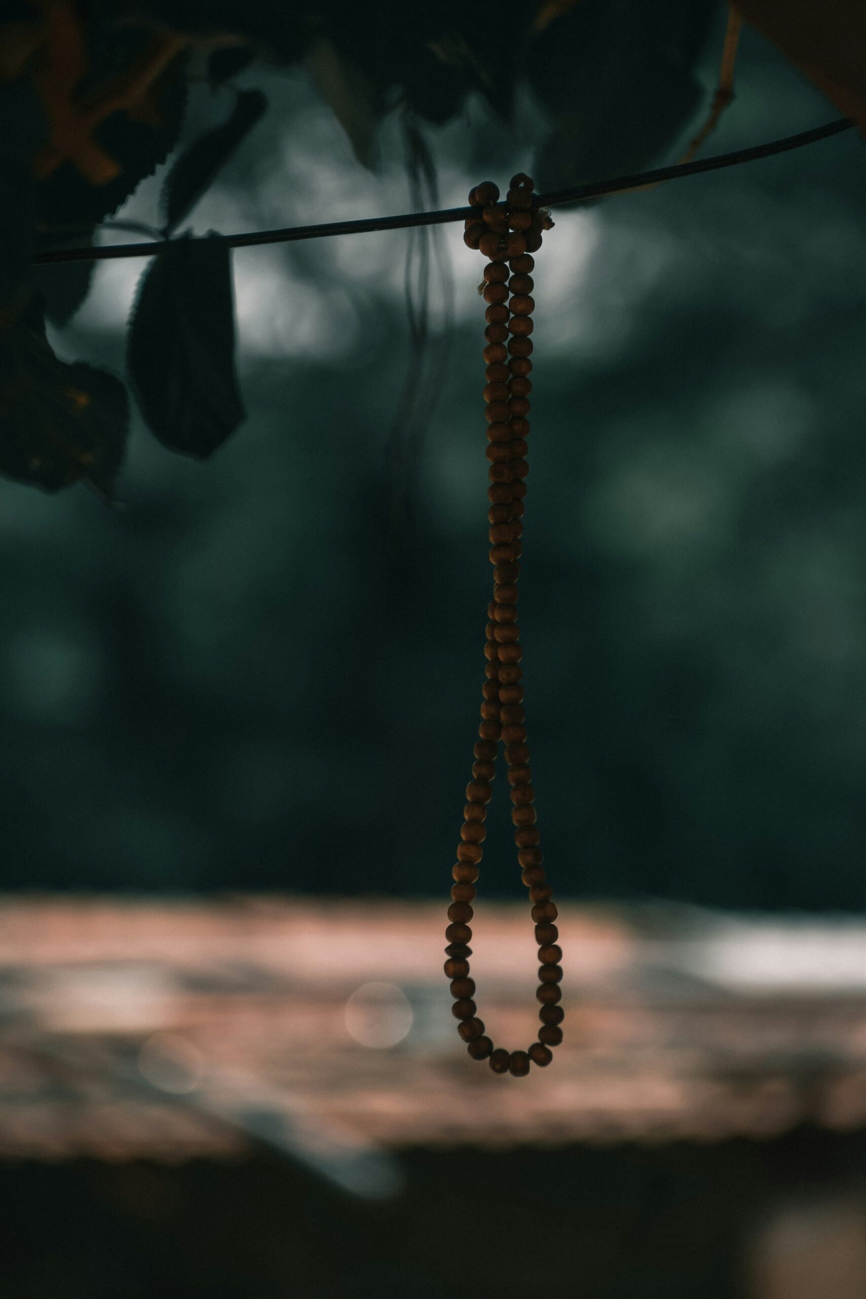 favorance-_8nHIWoRx_A-unsplash